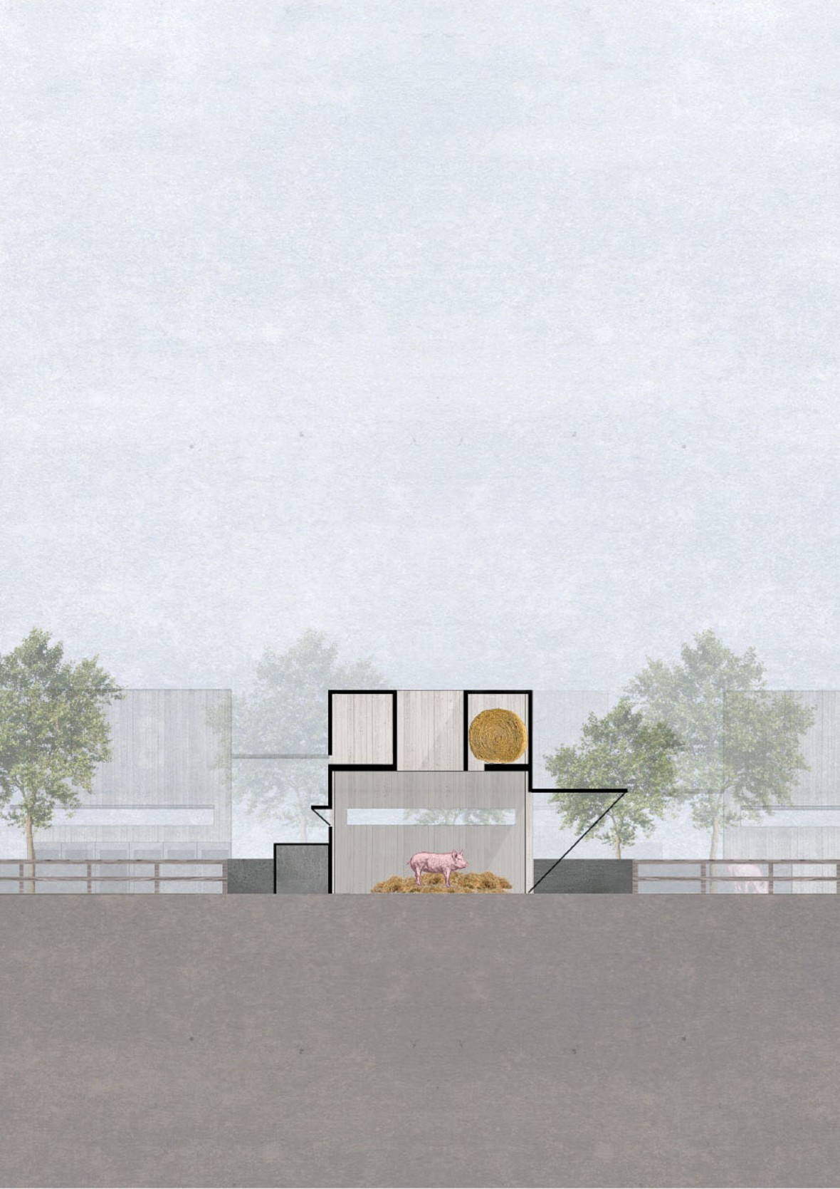 Schweine-Villa. Katharina Münch