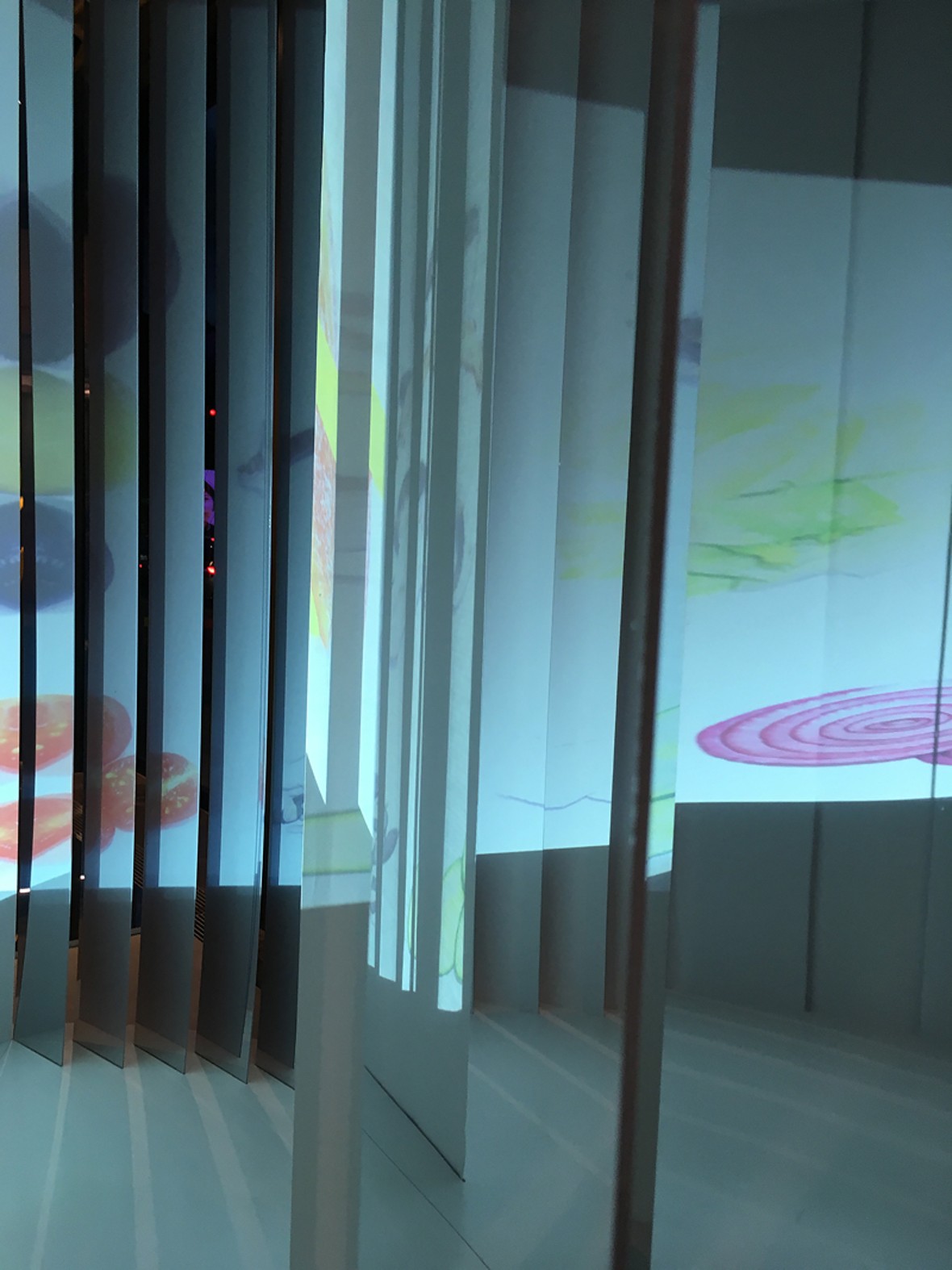 Foto: Carmen Zimmermann | Bild anklicken für Volldarstellung