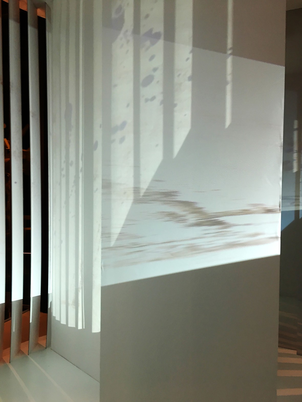 Foto: Carmen Zimmermann | Bild anklicken für Volldarstellung